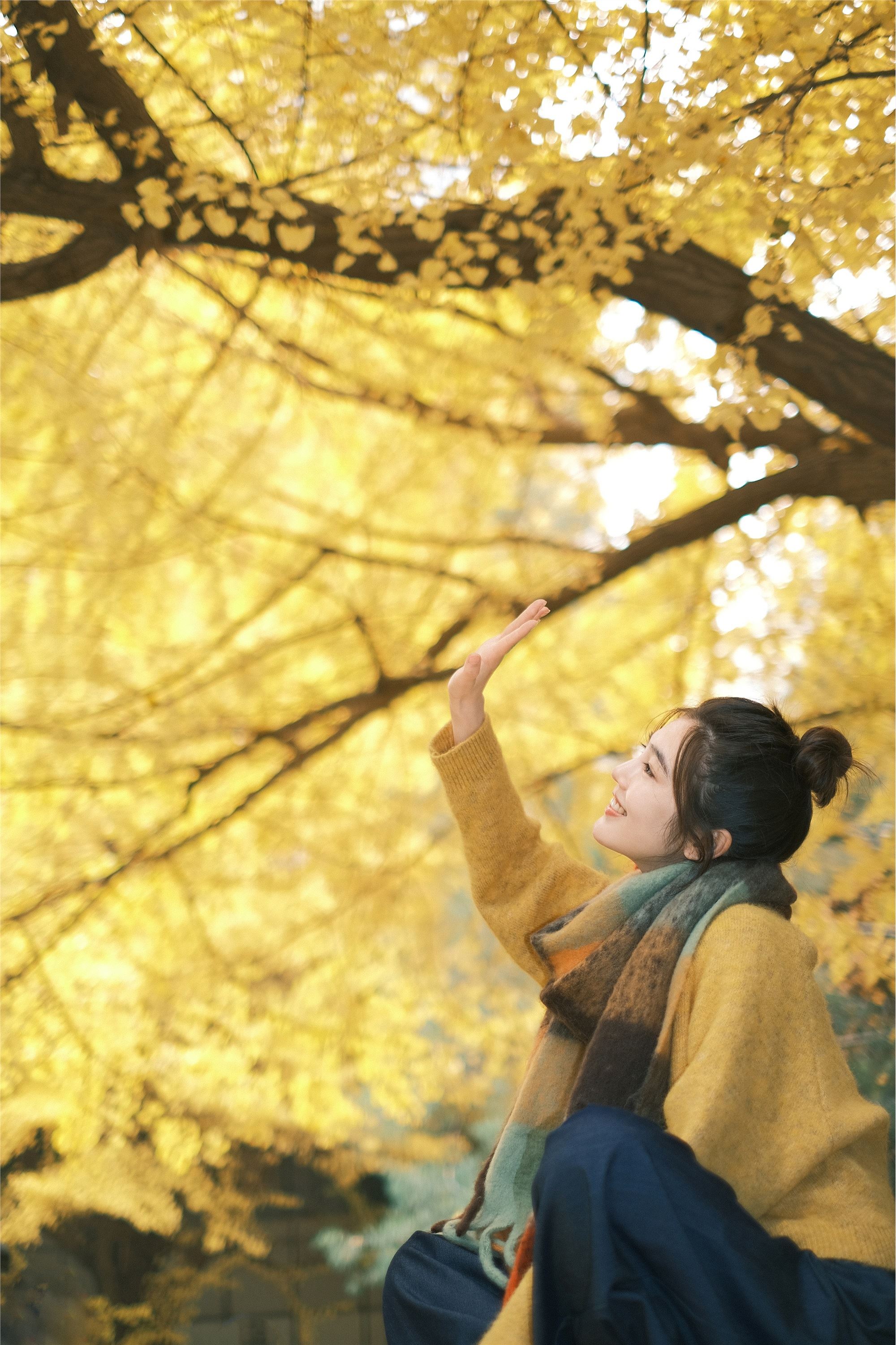 YITUYU艺图语 2025.01.26 窗边秋色 凡凡